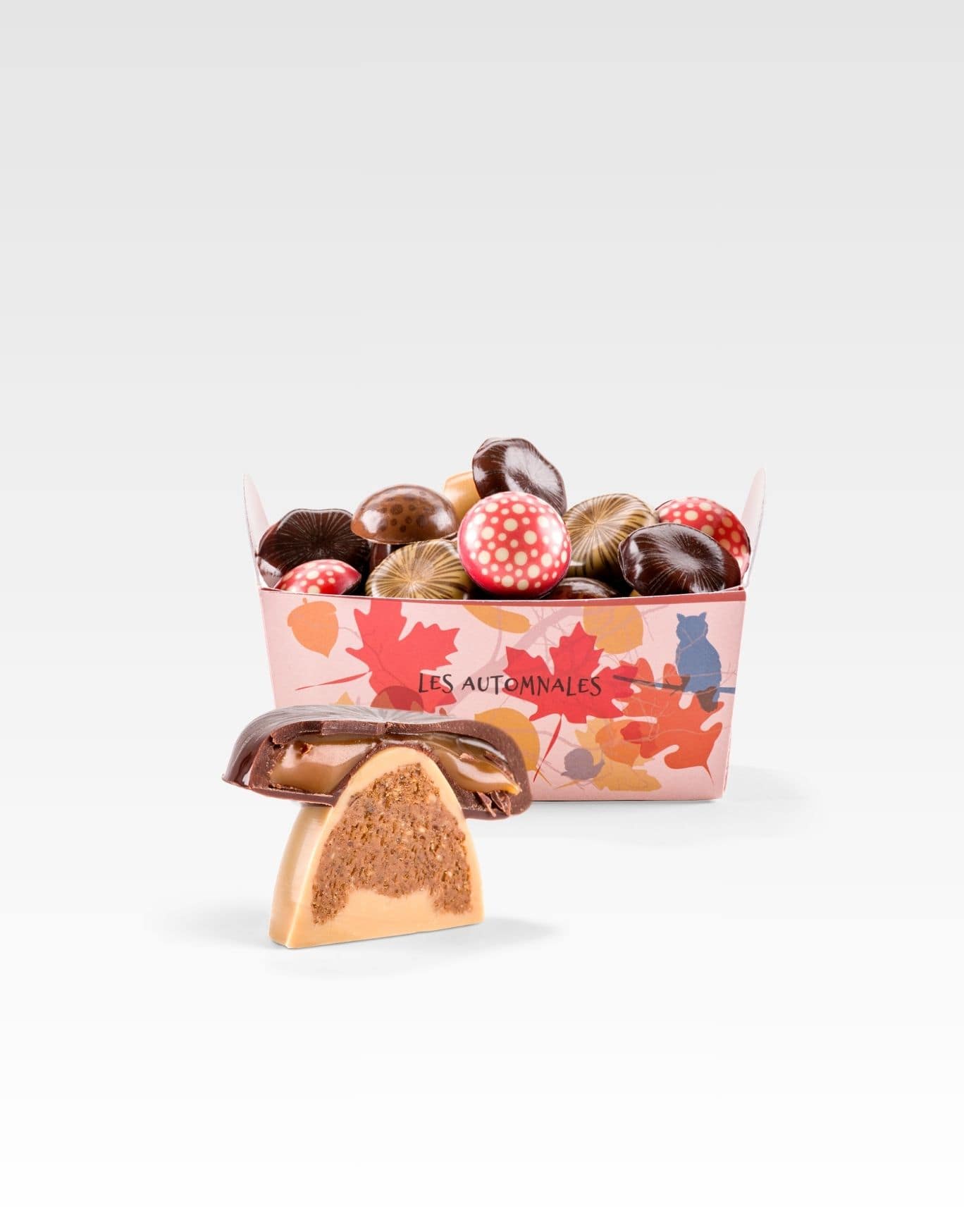 panier champignons chocolat, caramel et praliné