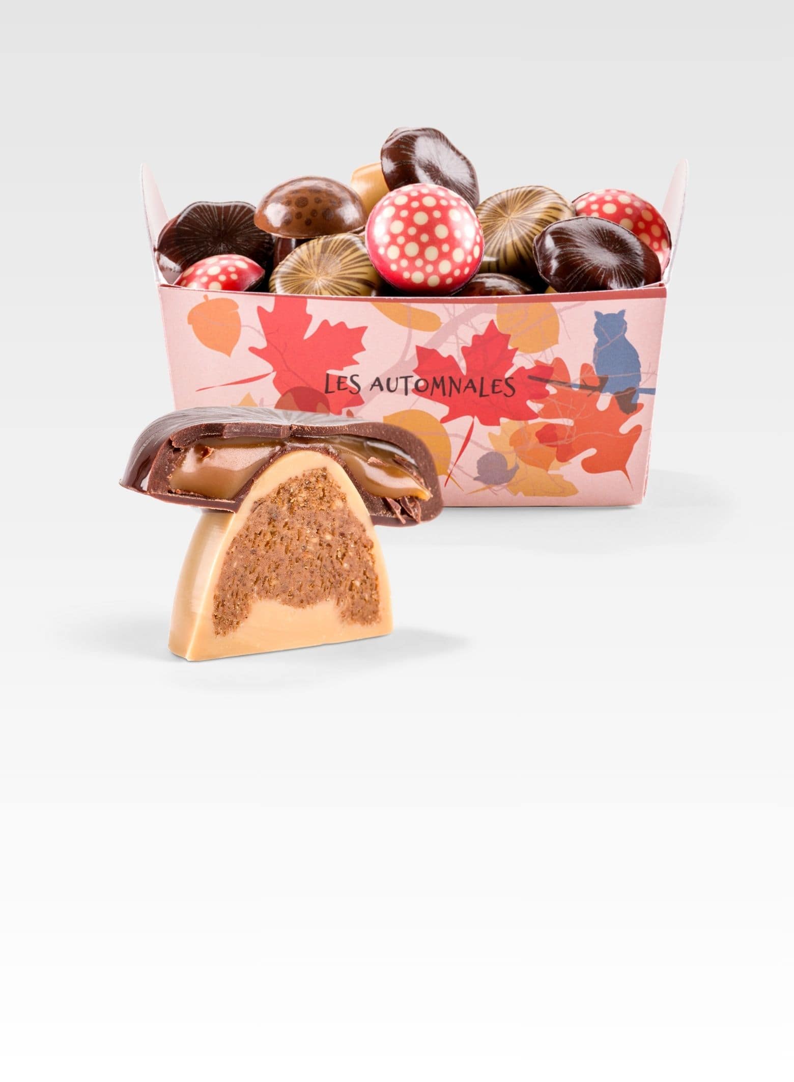 panier champignons chocolat, caramel et praliné