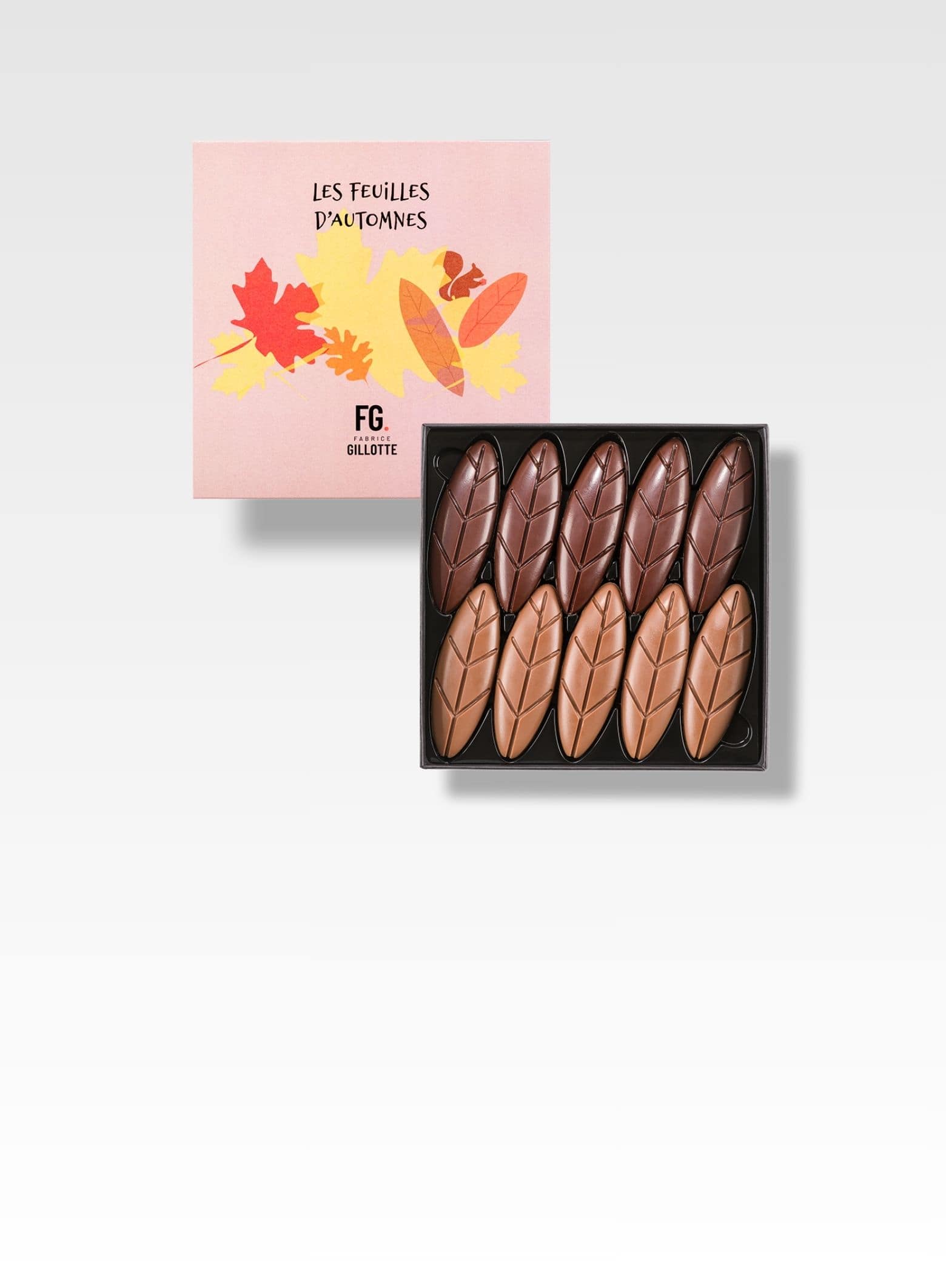 feuilles chocolat noir ou lait